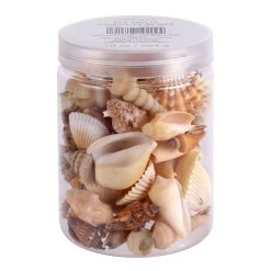 Coupon ❤️ 12 Pack: Natural Mixed Shells by Ashland® 🤩 7 Coupon ❤️ 12 Pack: Natural Mixed Shells by Ashland® 🤩 -Ashlandty Shop 10627361 1 1