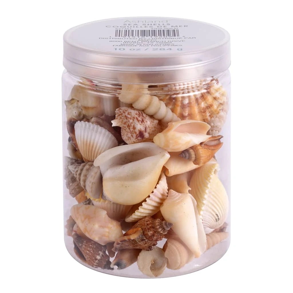 Coupon ❤️ 12 Pack: Natural Mixed Shells by Ashland® 🤩 5 Coupon ❤️ 12 Pack: Natural Mixed Shells by Ashland® 🤩 - Image 3