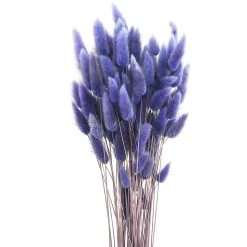 Discount 👍 8 Pack: Assorted Lagurus Bundle by Ashland® ✨ -Ashlandty Shop 10628609 2