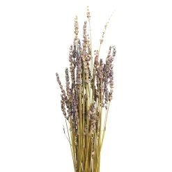 Brand new ❤️ 8 Pack: Lavender Grass Bundle by Ashland® 🛒 -Ashlandty Shop 10628611 2