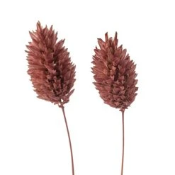 Top 10 ⌛ Coral Poa Grass Bunch by Ashland® 🎁 -Ashlandty Shop 10628612 20