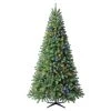 Cheapest 👏 7.5ft. Pre-Lit Whistler Pine Artificial 😀 Christmas Tree, Color Changing LED Lights by Ashland® ❤️ -Ashlandty Shop 10635064