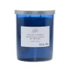New 🛒 Twilight & Currant 2-Wick Jar Candle by Ashland® 😍 -Ashlandty Shop 10638398 1