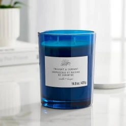 New 🛒 Twilight & Currant 2-Wick Jar Candle by Ashland® 😍 -Ashlandty Shop 10638398 20