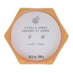 Best deal 🛒 Citrus & Amber 2-Wick Jar Candle by Ashland® ⌛