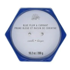 Best deal 🌟 Blue Plum & Currant 2-Wick Jar Candle by Ashland® ⭐