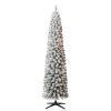 Cheapest ⭐ 7ft. Pre-Lit Flocked Artificial Pencil 😍 Christmas Tree, Clear Lights by Ashland® 🔔