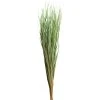 Cheapest ⌛ 8 Pack: Green Magnolia Flax Grass Bundle by Ashland® 🎉 -Ashlandty Shop 10646374 1