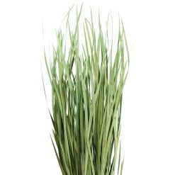 Cheapest ⌛ 8 Pack: Green Magnolia Flax Grass Bundle by Ashland® 🎉 8 Cheapest ⌛ 8 Pack: Green Magnolia Flax Grass Bundle by Ashland® 🎉 -Ashlandty Shop 10646374 2