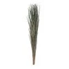 Brand new 🎁 Green Magnolia Flax Grass Bundle by Ashland® ⌛
