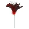 Wholesale ❤️ Red Peacock Feather Pick by Ashland® 🔔 -Ashlandty Shop 10656544 1