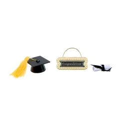 Promo 🧨 12 Pack: Mini Graduation Set by Ashland® 🎁
