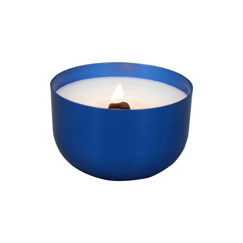 Buy ❤️ 13.5oz. Twilight & Currant Candle by Ashland® ✔️ 7 Buy ❤️ 13.5oz. Twilight & Currant Candle by Ashland® ✔️ - Image 5