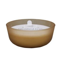 Cheap 🔥 18.7oz. Grapefruit & Honey Candle by Ashland® 🎉