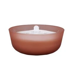 Outlet ⭐ 6 Pack: 18.7oz. Peony & Rose Candle by Ashland® 🌟