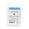 Brand new 😀 Ocean & Driftwood Scented Wax Melt by Ashland® ⭐ -Ashlandty Shop 10672592 1