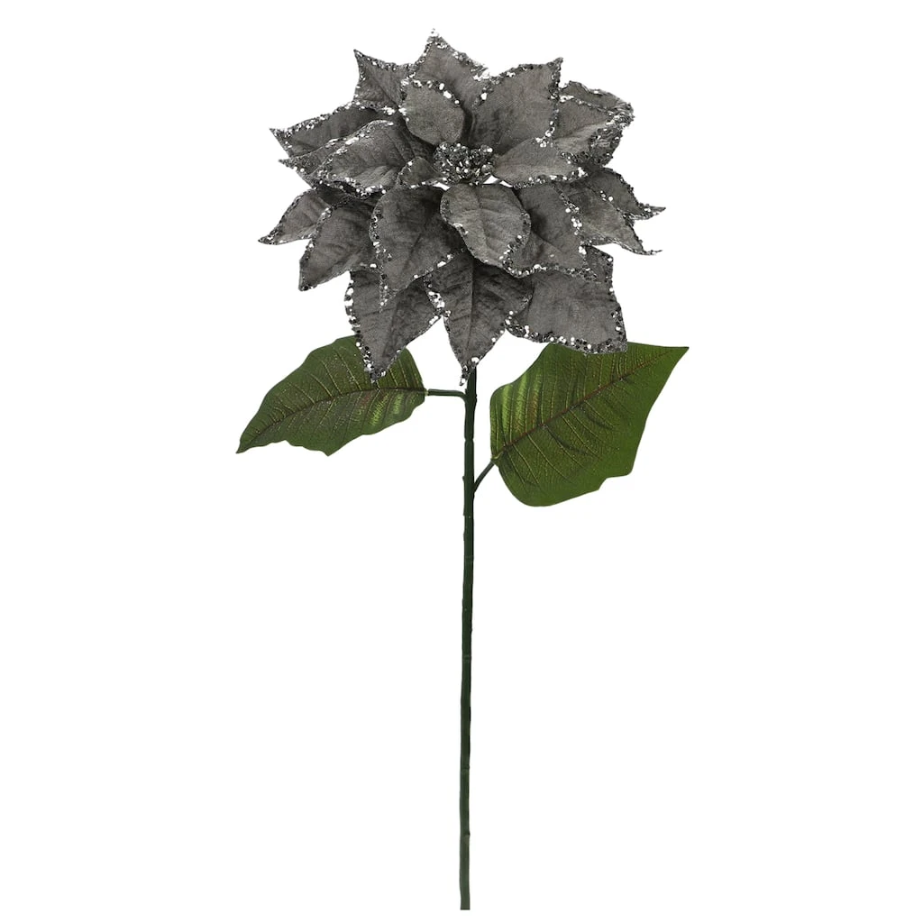 Best reviews of ๐ Silver Glitter Poinsettia Stem by Ashland® ๐ฅ 3 Best reviews of ๐ Silver Glitter Poinsettia Stem by Ashland® ๐ฅ