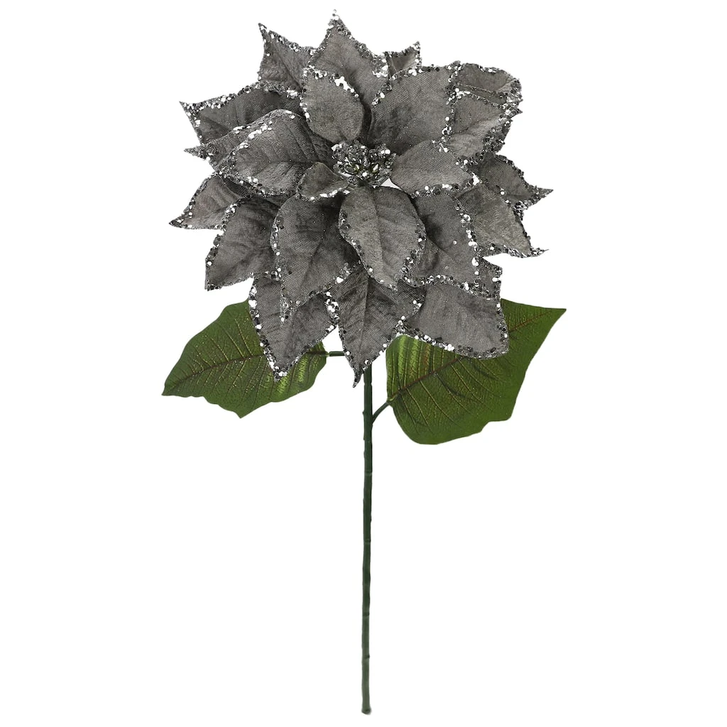 Best reviews of ๐ Silver Glitter Poinsettia Stem by Ashland® ๐ฅ 5 Best reviews of ๐ Silver Glitter Poinsettia Stem by Ashland® ๐ฅ - Image 3