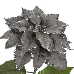 Best reviews of ๐ Silver Glitter Poinsettia Stem by Ashland® ๐ฅ 7 Best reviews of ๐ Silver Glitter Poinsettia Stem by Ashland® ๐ฅ -Ashlandty Shop 10673375 3