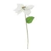 Best reviews of 🥰 White Poinsettia Stem by Ashland® 🥰 -Ashlandty Shop 10673410 1