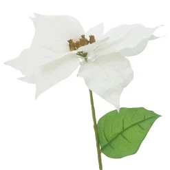 Best reviews of 🥰 White Poinsettia Stem by Ashland® 🥰 -Ashlandty Shop 10673410 2