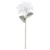 Coupon π₯° White Poinsettia Stem by Ashland® π€© 1 Coupon π₯° White Poinsettia Stem by Ashland® π€© -Ashlandty Shop 10673441 1