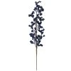 Best reviews of 🛒 Navy Glitter Berry Stem by Ashland® 😍 1 Best reviews of 🛒 Navy Glitter Berry Stem by Ashland® 😍 -Ashlandty Shop 10673704 1
