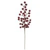 Flash Sale ❤️ Iced Red Rose Berry Stem by Ashland® ❤️