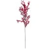 Best reviews of 👍 Red Clustered Berry Stem by Ashland® 🌟 2 Best reviews of 👍 Red Clustered Berry Stem by Ashland® 🌟 -Ashlandty Shop 10673719 1