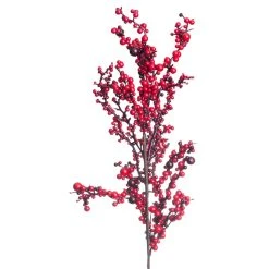 Best reviews of 👍 Red Clustered Berry Stem by Ashland® 🌟 -Ashlandty Shop 10673719 2