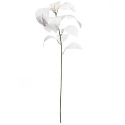 Buy 🎉 White Velvet Magnolia Leaves by Ashland® ⭐
