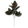 Deals 😉 Dark Green Magnolia Leaves Stem by Ashland® ⭐ -Ashlandty Shop 10674564 1