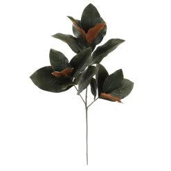 Deals 😉 Dark Green Magnolia Leaves Stem by Ashland® ⭐