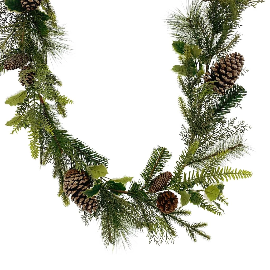Buy 𧨠6ft. Holly & Pinecone Garland by Ashland® π 3 Buy 𧨠6ft. Holly & Pinecone Garland by Ashland® π