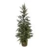 Hot Sale 👍 3ft. Pine Tree in Basket by Ashland® ⌛ -Ashlandty Shop 10675195 1