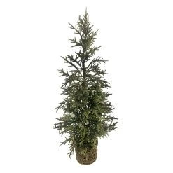 Hot Sale 👍 3ft. Pine Tree in Basket by Ashland® ⌛