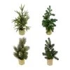 Best Pirce 🎉 Assorted 16" Potted Artificial Christmas Tree by Ashland® ⌛ -Ashlandty Shop 10675197 1