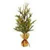 Brand new 🧨 24" Pine Tree with Pinecones in Burlap Bag by Ashland® 😀 -Ashlandty Shop 10675198 1