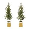 Hot Sale ⌛ Assorted 3ft. Pine Tree in Burlap Bag by Ashland® ⭐ -Ashlandty Shop 10675201 1