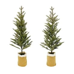 Hot Sale ⌛ Assorted 3ft. Pine Tree in Burlap Bag by Ashland® ⭐