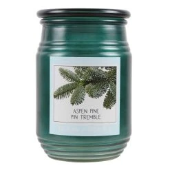 Cheap ✨ Aspen Pine Jar Candle by Ashland® 🤩
