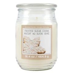 Hot Sale ✔️ Frosted Sugar Cookie Jar Candle by Ashland® ✨