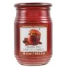 Promo ❤️ Cinnamon Apples Jar Candle by Ashland® 🔥 -Ashlandty Shop 10675793 1