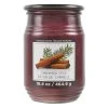 Discount ✔️ Cinnamon Stick Jar Candle by Ashland® 🎁 -Ashlandty Shop 10675794 1