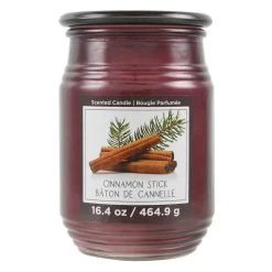 Discount ✔️ Cinnamon Stick Jar Candle by Ashland® 🎁