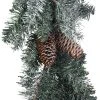 Deals π 6ft. Snowy Taos Pine Garland by Ashland® π 2 Deals π 6ft. Snowy Taos Pine Garland by Ashland® π -Ashlandty Shop 10675838 1
