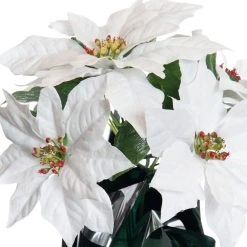 Best Sale 👏 White Potted Poinsettia with Green Foil by Ashland® ⌛ -Ashlandty Shop 10676008 2