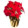 Wholesale 🎉 Red Velvet Potted Poinsettia with Gold Foil by Ashland® 😉 -Ashlandty Shop 10676015 1