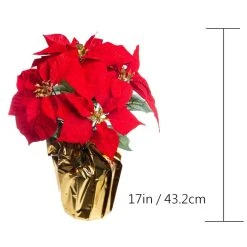 Wholesale 🎉 Red Velvet Potted Poinsettia with Gold Foil by Ashland® 😉 -Ashlandty Shop 10676015 3