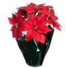 Top 10 🎉 Red Potted Poinsettia with Green Foil by Ashland® 😉 -Ashlandty Shop 10676022 1